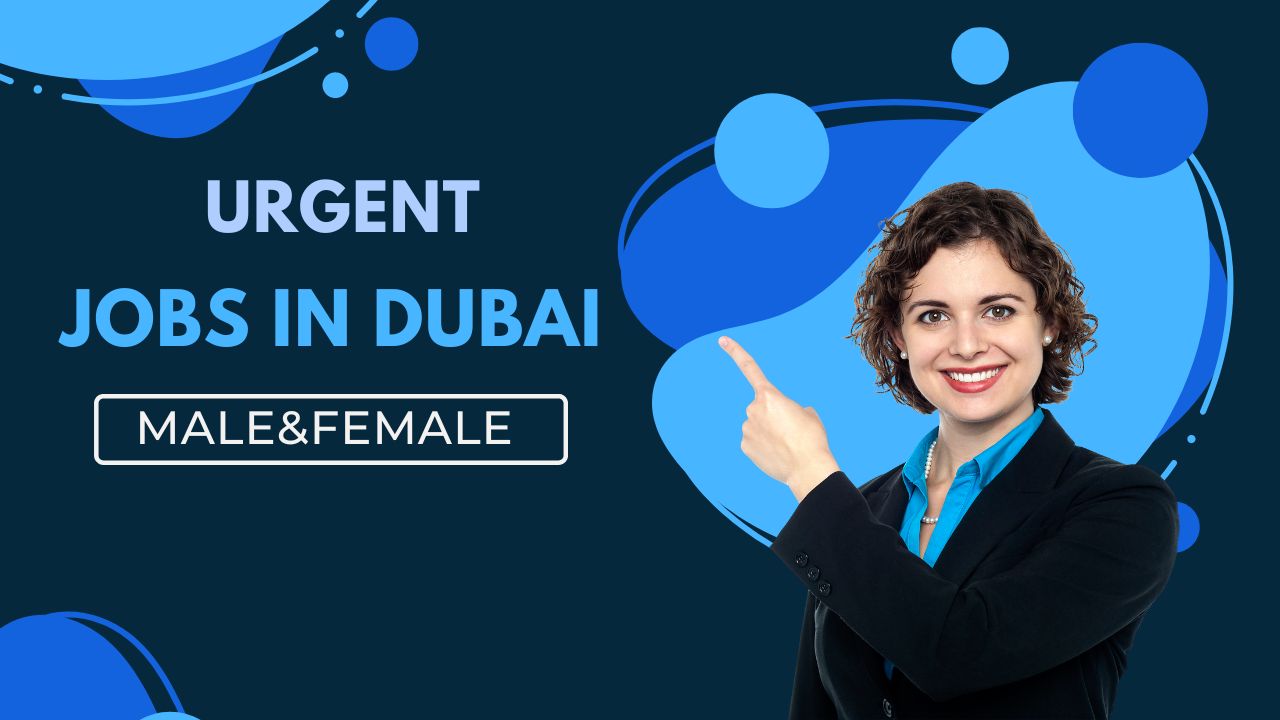 New Jobs in Dubai 2023 - Jobs in Dubai 2023 66 New Jobs in Dubai 2023
